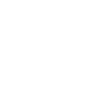 Brandmark (reverse)